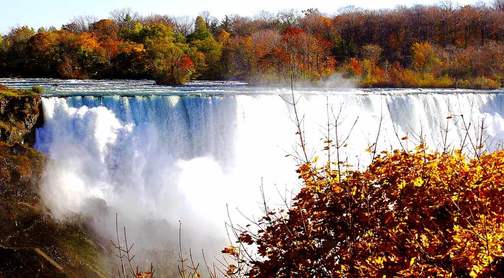 study abroad in canada